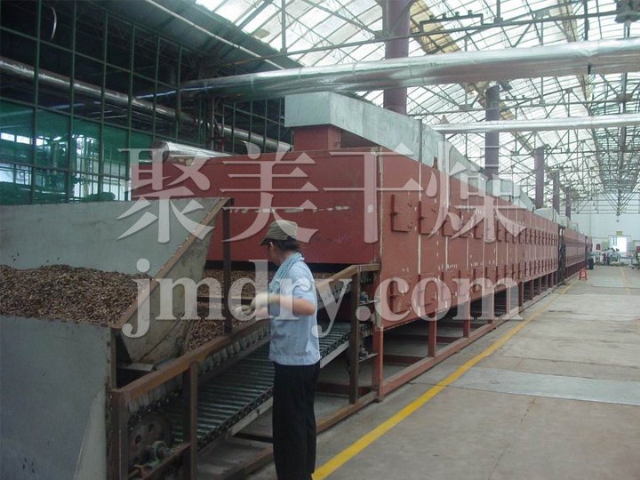 DWC系列脱水蔬菜带式干燥机